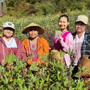 EP. 39: Mountain Farmers from Burma in Thailand and Philadelphia