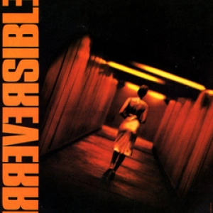 Irreversible - "Time Destroys Everything"