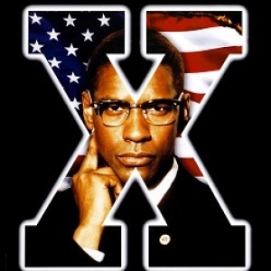 Malcolm X - "That's Too Much Power For One Man to Have"