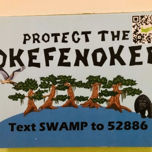 Protecting the Okefenokee Swamp Refuge from Mining: Ecologist Rena Ann Peck of GA River Network
