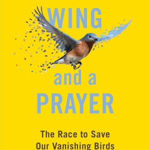 The Race to Save Our Vanishing Birds: Interview with Book Author Anders Gyllenhaal