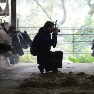Animal Photojournalism -- Telling Stories of Captive Animals: Jo-Anne McArthur of We Animals Media