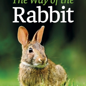 Natural History & Conservation of Rabbit Species: Interview with author Mark Hawthorne "The Way of the Rabbit"