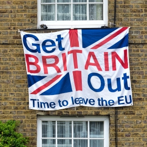Tribal Politics: How Brexit Divided Britain - and lessons for pro-European campaigners