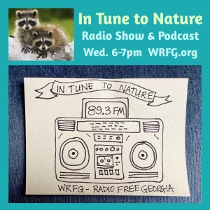In Tune to Nature Podcast