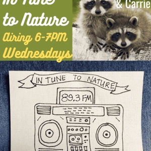 In Tune to Nature Podcast