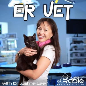 ER Vet - Stories from the animal ER - Pet Life Radio Original (PetLifeRadio.com)