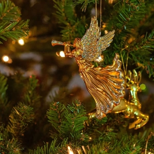 Angel - December 2022