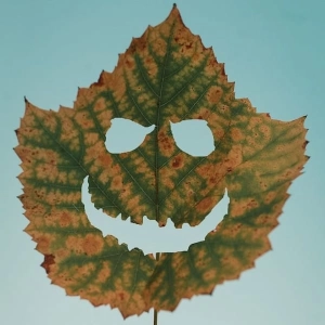 Spook - Halloween 2023