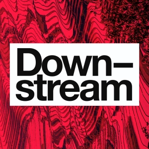Downstream: The Woman Who Invented Intersectionality w/ Kimberlé Crenshaw