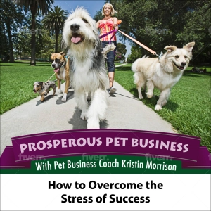 Episode 91. How to Overcome the Stress of Success