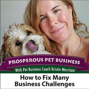 Episode 98. How to Fix Many Pet Business Challenges