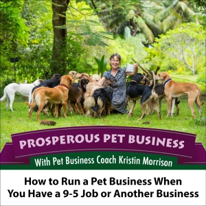 Episode 107. How to Run a Pet Business When You Have a 9-5 Job or Another Business