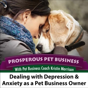 Ep. 178: Replay: Dealing with Depression and Anxiety as a Pet Business Owner