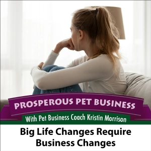 Episode 118. Big Life Changes Require Business Changes