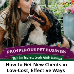 Ep. 173: How to Get New Clients in Low-Cost, Effective Ways