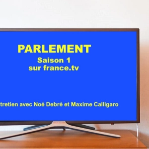 EUROSCOPE # 19 // PARLEMENT (LA SERIE)
