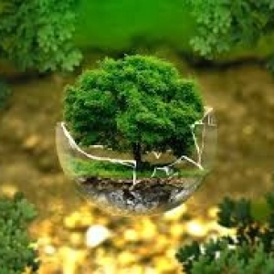 Euroscope #3 / Environnement