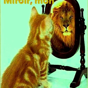 Mercredi ! Miroir, mon beau miroir