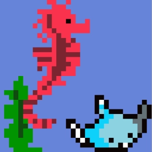 Mercredi ! Les animaux marins