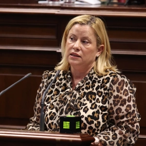 La diputada del PP, Mónica Muñoz defiende el reconocimiento de la Policía Nacional y Guardia Civil como profesiones de riesgo