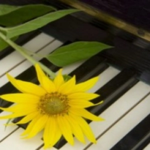 O Piano - Musical & Instrumental