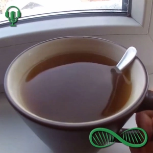 What they're NOT telling you about THIS Ayurvedic adaptogen 🇪🇺 Biohacker Review of Bacopa