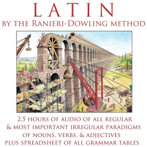 Latin Summary of Forms of Nouns, Verbs, Adjectives, Pronouns (Luke Ranieri)