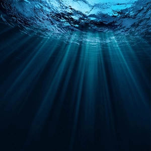 The Deep End