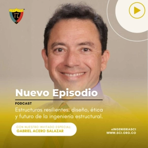 Ingeniería para la resiliencia