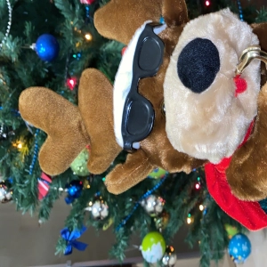 Programa nº 3 Navidad 2020