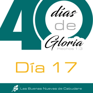 Día 17, DISPOSICIÓN y DISPONIBILIDAD