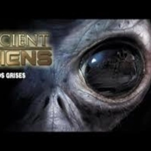 Alienigenas Ancestrales Los Grises