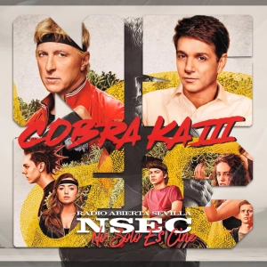 6x04 Cobra Kai III la continuación