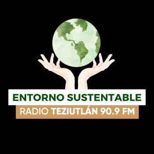 Entorno Sustentable Regional - Producción de bambú y construcción sustentable
