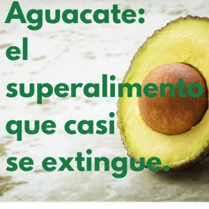 EP-9: Aguacate; el fruto que casi se extingue.