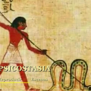 Psicostasia - IGA EspaÑa