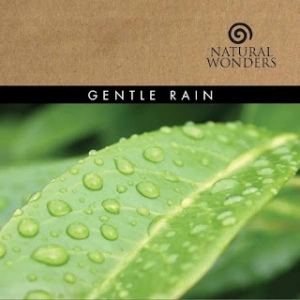 David Arkenstone: Gentle Rain (Lluvia suave)