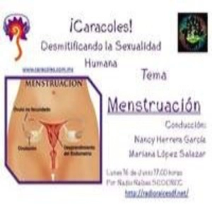 Menstruación
