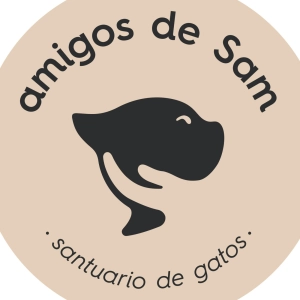 Amigos de Sam. Albergue para gatos. ¿Quieres adoptar uno?