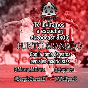 8x03 Punto arañado