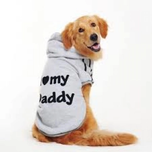 Nuestras Mascotas - Identificación y Accesorios de Invierno