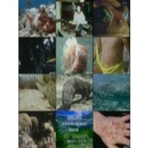 Animales bien armados (Partes 1 y 2)