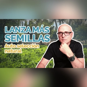 PODCAST 400: lanza más semillas.