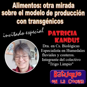 Alimentos: otra mirada sobre el modelo de producción con transgénicos