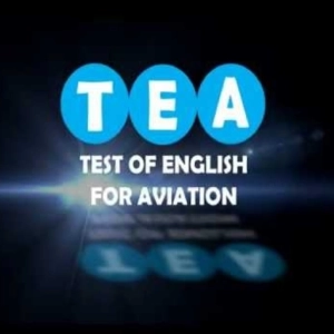 TEA 3 de 8