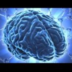 La Ansiedad del Cerebro | Documental Psicología