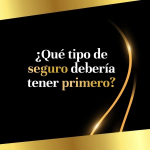 El seguro más importante que deberías tener - Pedro Castre