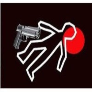 Crímenes Imperfectos.Estados Unidos (21de26): Rockford
