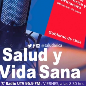 Noticiero del Servicio de Salud Arica y Parinacota [6 diciembre 2024]